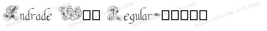 Andrade W01 Regular字体转换
